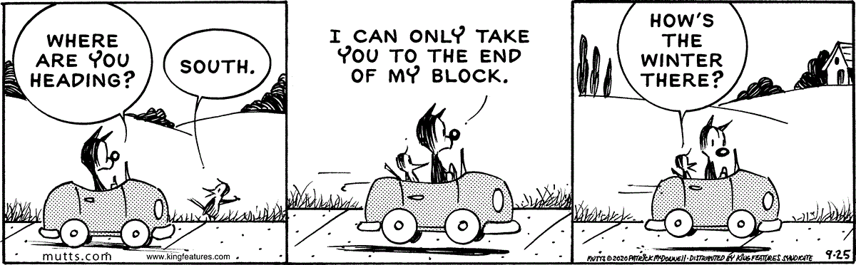 September 25 2020, Daily Comic Strip