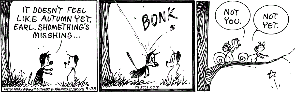 September 25 2024, Daily Comic Strip