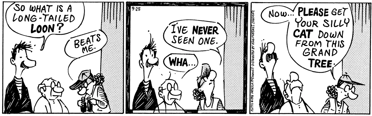 September 25 1998, Daily Comic Strip