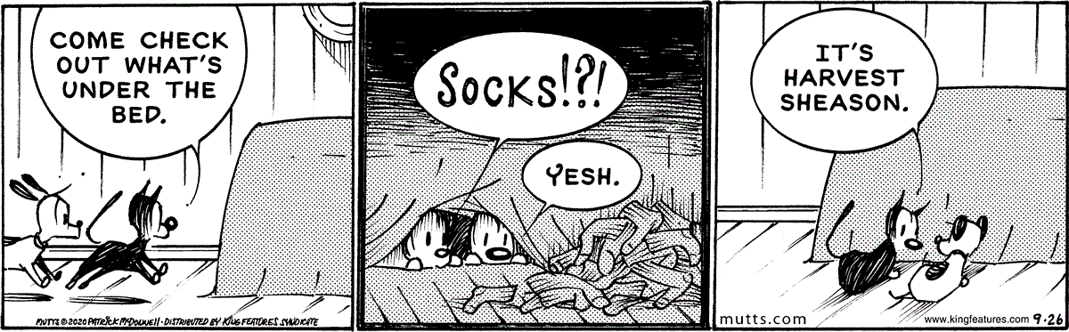 September 26 2020, Daily Comic Strip