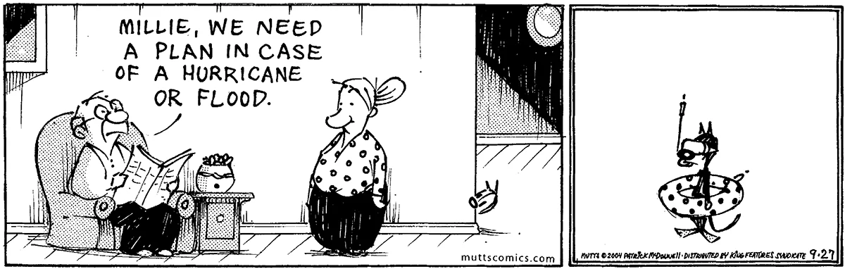 September 27 2004, Daily Comic Strip