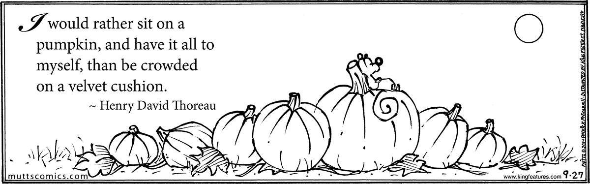 September 27 2014, Daily Comic Strip