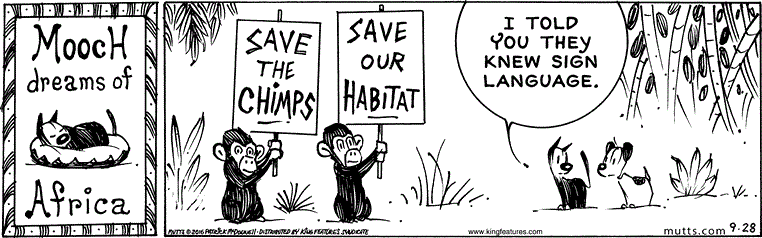 September 28 2016, Daily Comic Strip