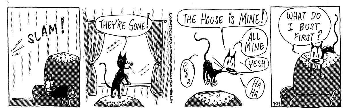 September 29 1994, Daily Comic Strip