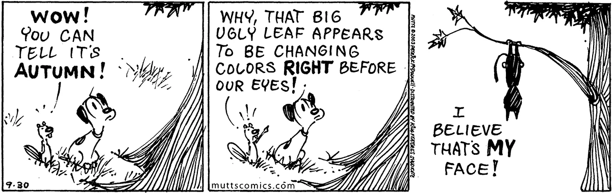 September 30 2003, Daily Comic Strip