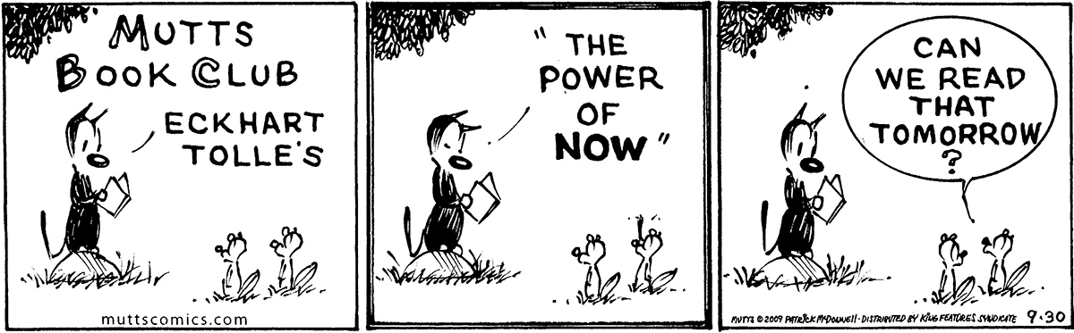 September 30 2009, Daily Comic Strip