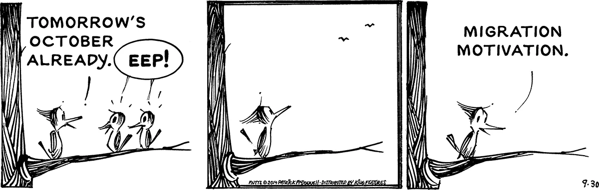 September 30 2014, Daily Comic Strip