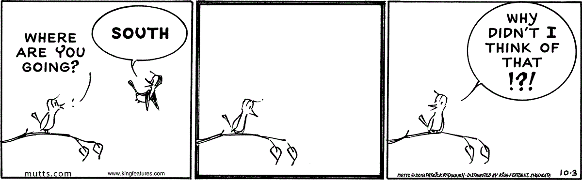 October 3 2018, Daily Comic Strip
