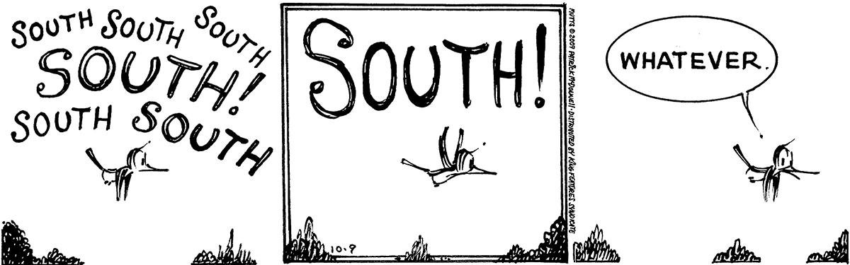 October 9 2009, Daily Comic Strip