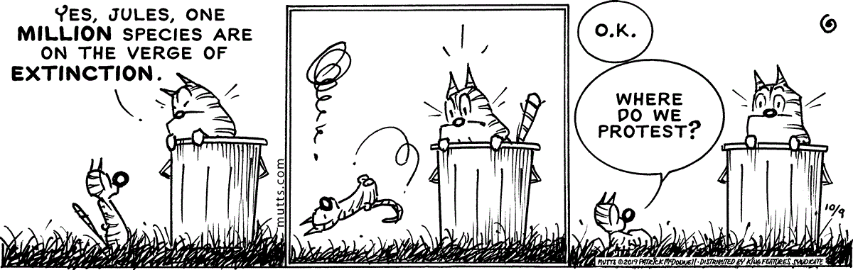 October 9 2019, Daily Comic Strip