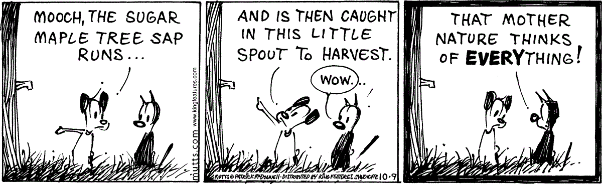 October 9 2024, Daily Comic Strip