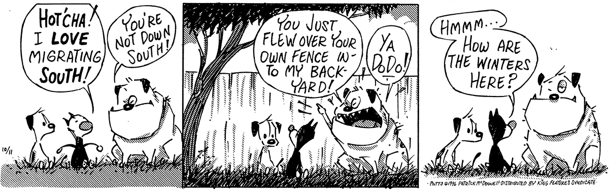 October 11 1996, Daily Comic Strip