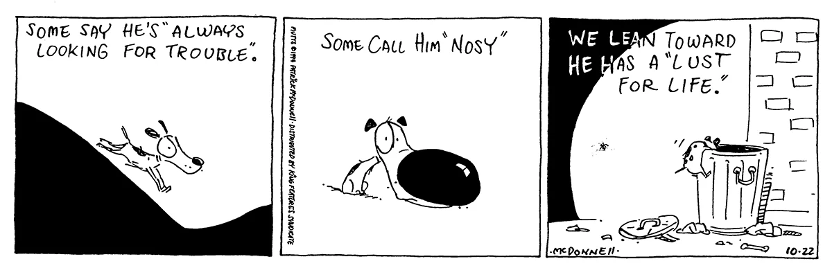 October 22 1994, Daily Comic Strip