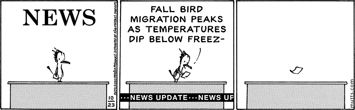 October 23 2015, Daily Comic Strip