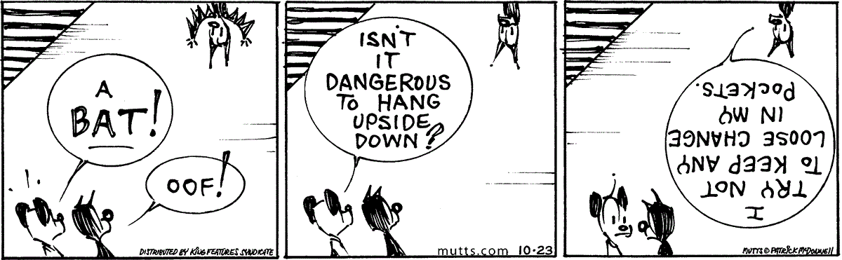 October 23 2024, Daily Comic Strip