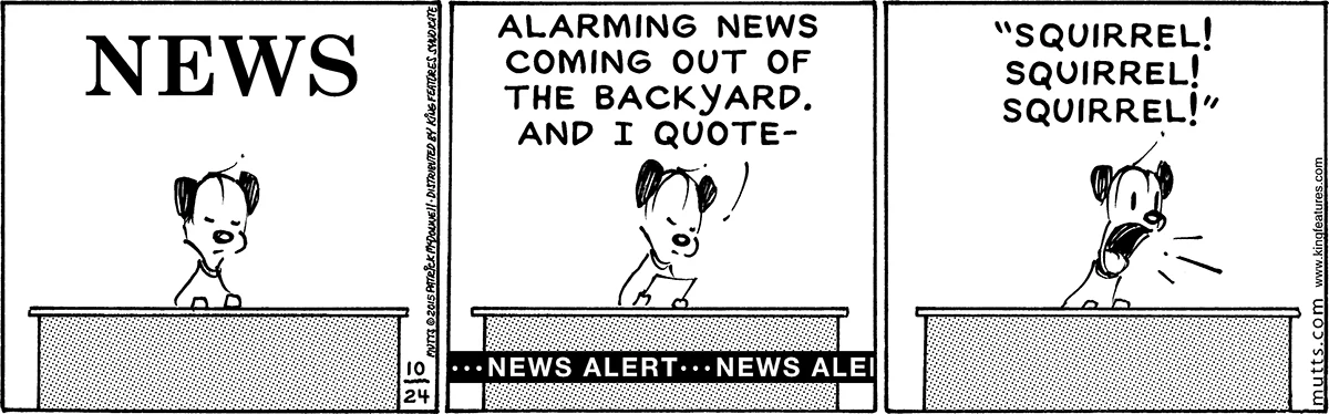 October 24 2015, Daily Comic Strip
