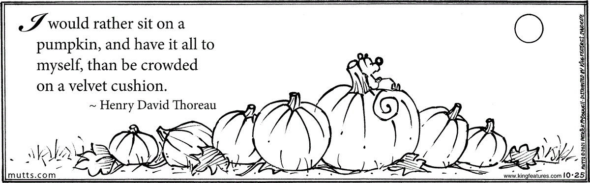 October 25 2021, Daily Comic Strip