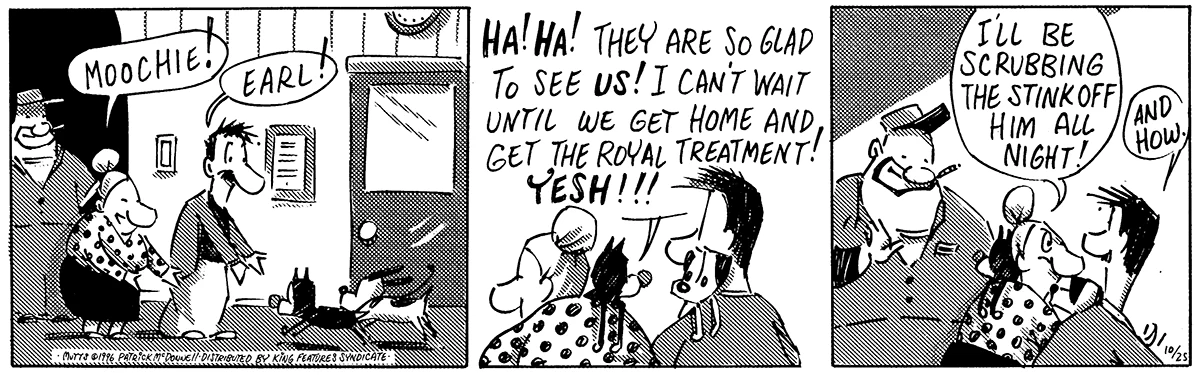 October 25 1996, Daily Comic Strip