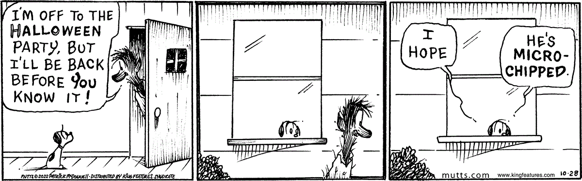 October 28 2022, Daily Comic Strip