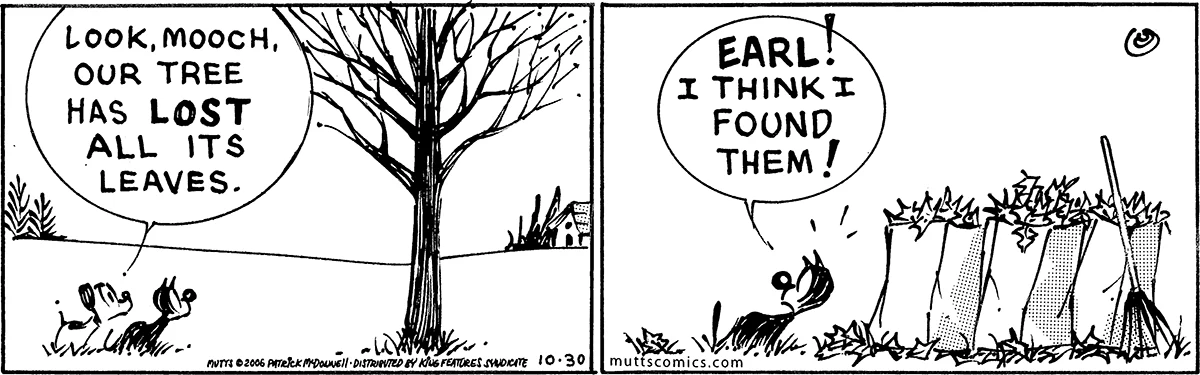 October 30 2006, Daily Comic Strip