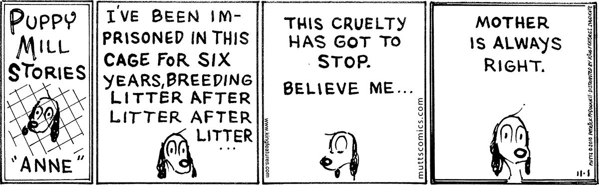 November 1 2010, Daily Comic Strip