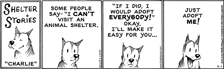 November 1 2016, Daily Comic Strip