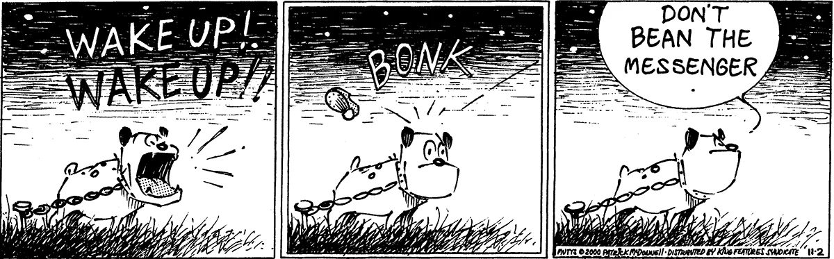 November 2 2000, Daily Comic Strip