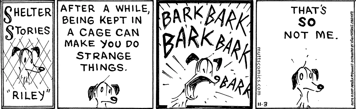 November 3 2009, Daily Comic Strip