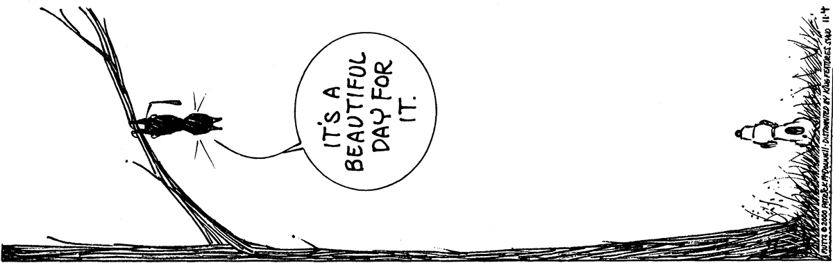 November 4 2000, Daily Comic Strip