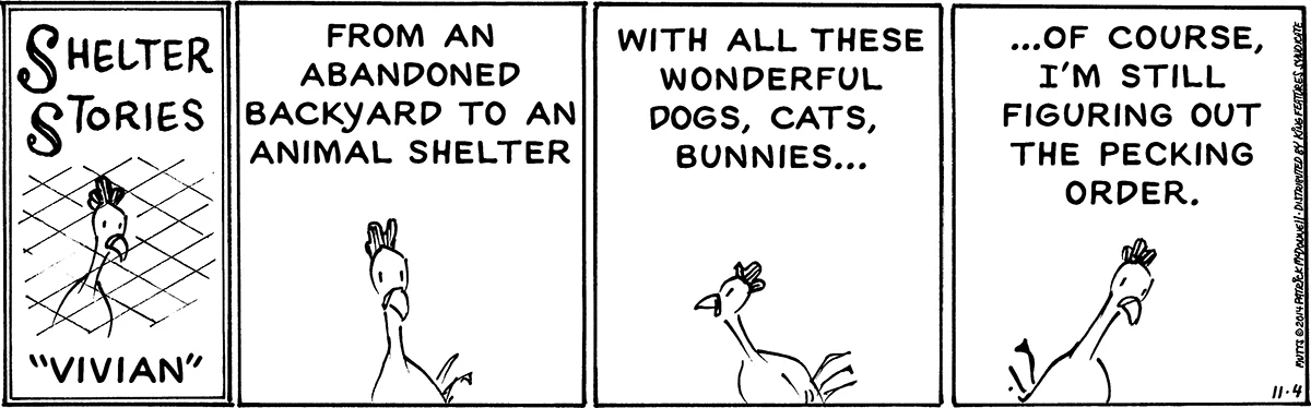 November 4 2014, Daily Comic Strip