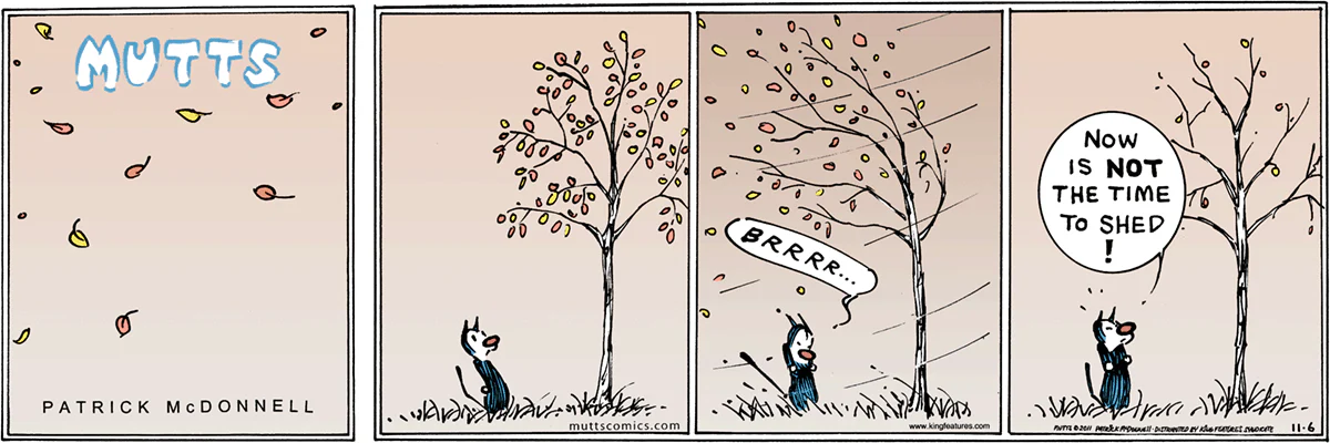 November 6 2011, Sunday Comic Strip