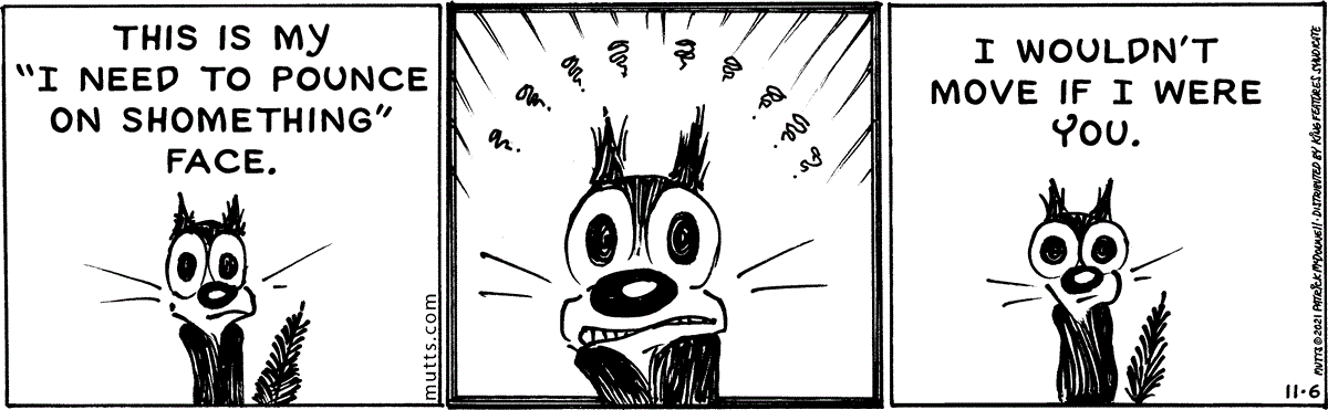 November 6 2021, Daily Comic Strip