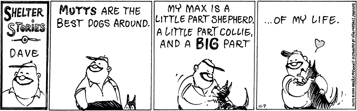 November 7 2000, Daily Comic Strip