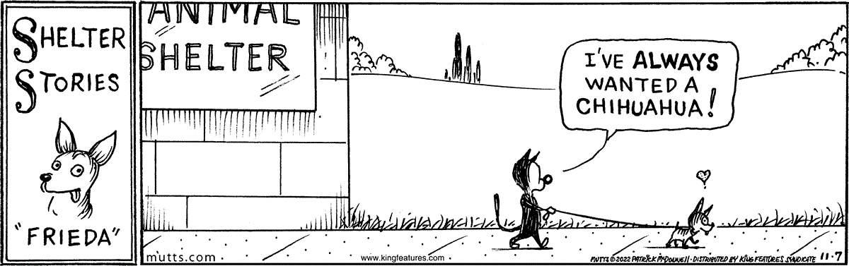 November 7 2022, Daily Comic Strip