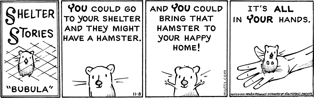 November 8 2021, Daily Comic Strip