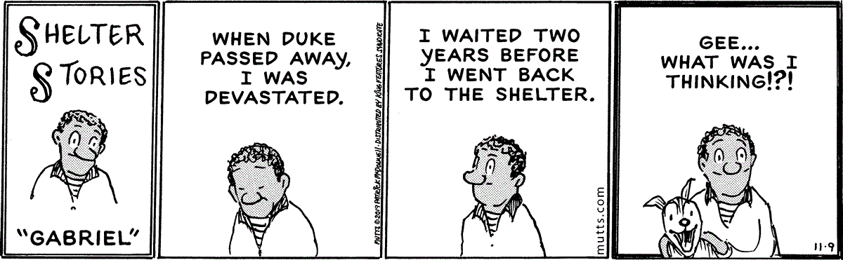 November 9 2019, Daily Comic Strip