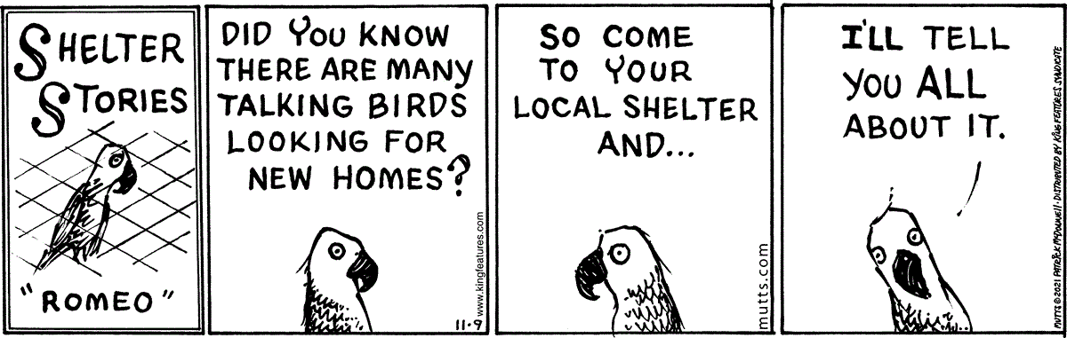 November 9 2021, Daily Comic Strip