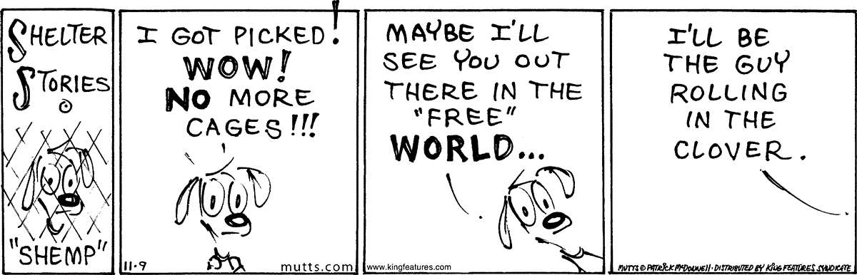 November 9 2024, Daily Comic Strip