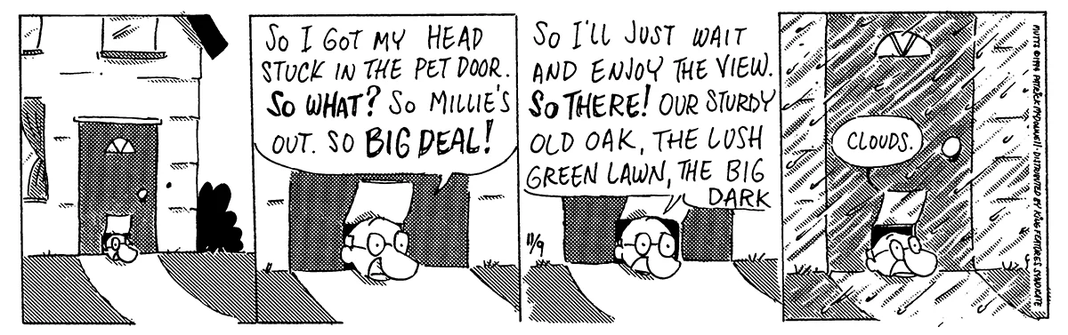 November 9 1994, Daily Comic Strip