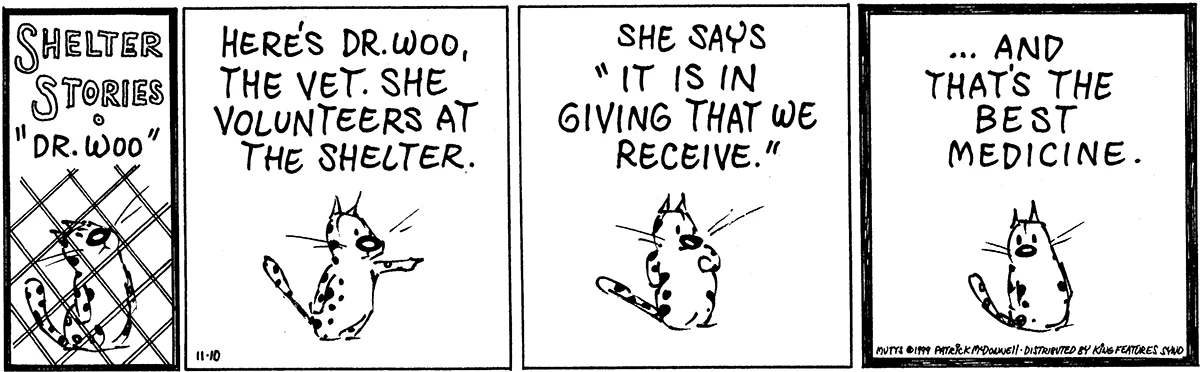November 10 1999, Daily Comic Strip
