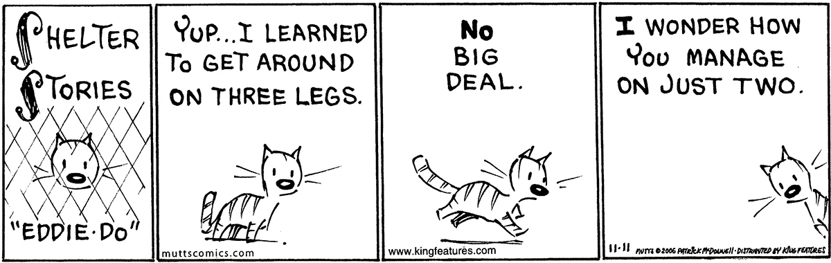 November 11 2006, Daily Comic Strip