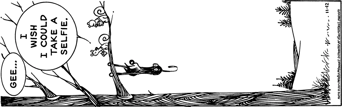 November 12 2014, Daily Comic Strip