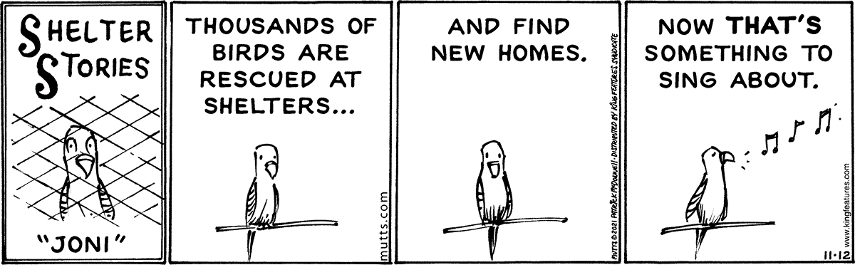 November 12 2021, Daily Comic Strip