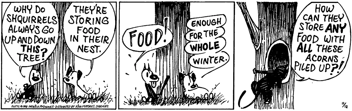 November 12 1998, Daily Comic Strip