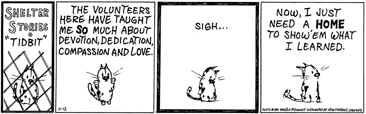 November 12 1999, Daily Comic Strip