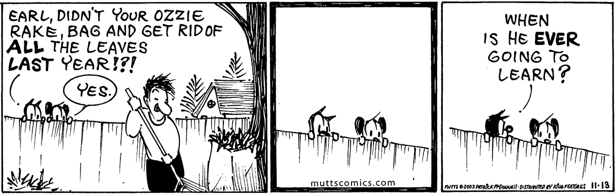 November 13 2003, Daily Comic Strip