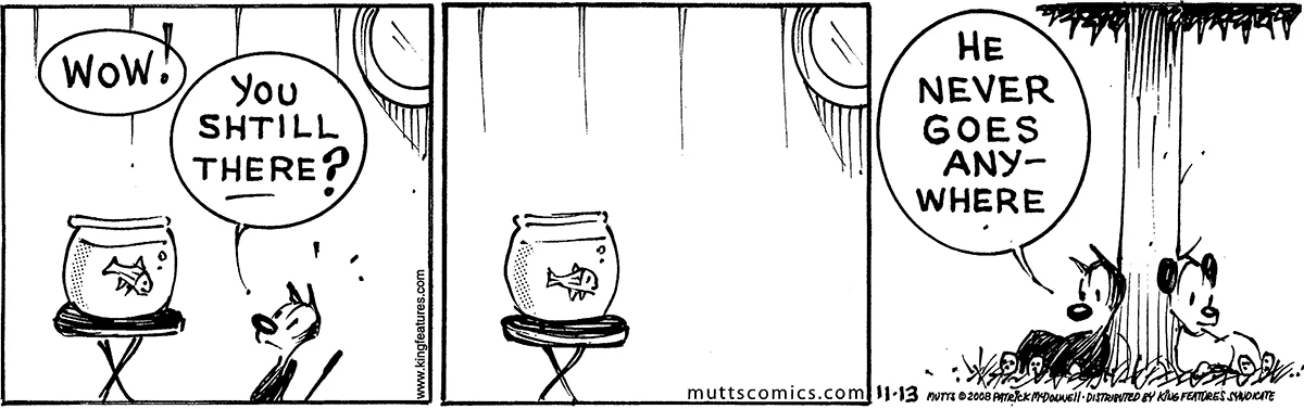 November 13 2008, Daily Comic Strip
