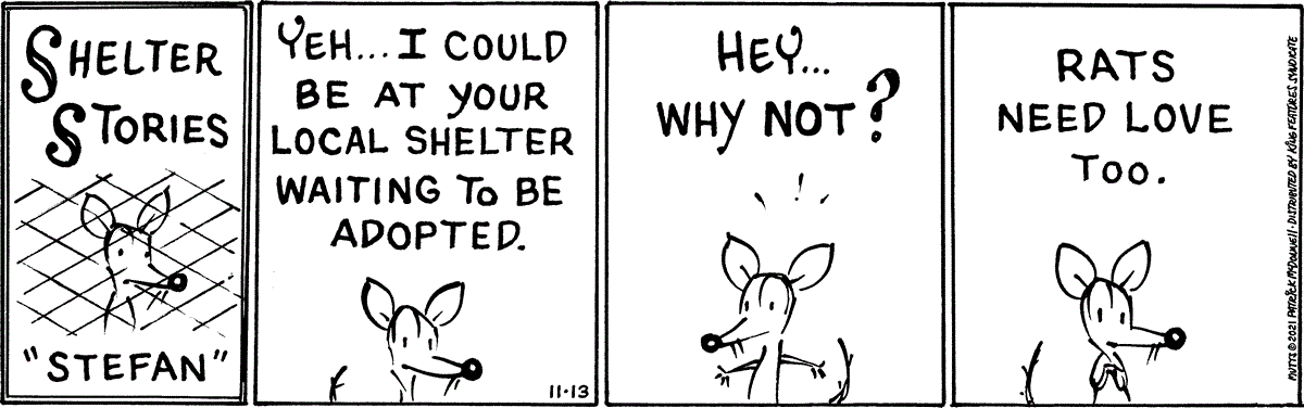November 13 2021, Daily Comic Strip