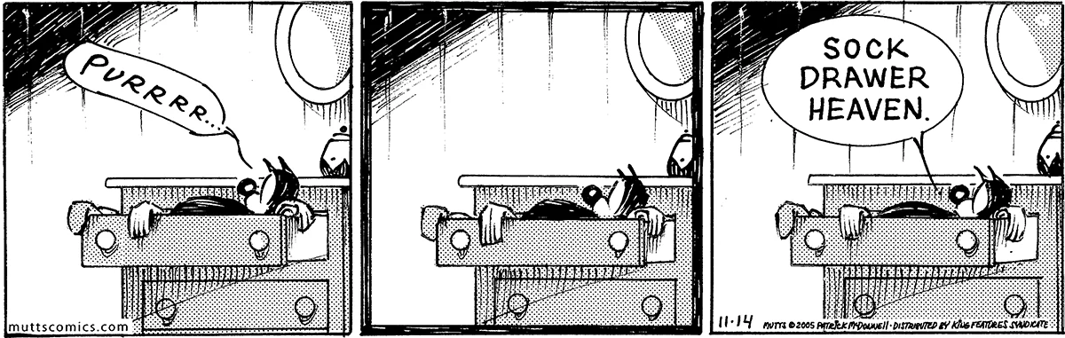 November 14 2005, Daily Comic Strip