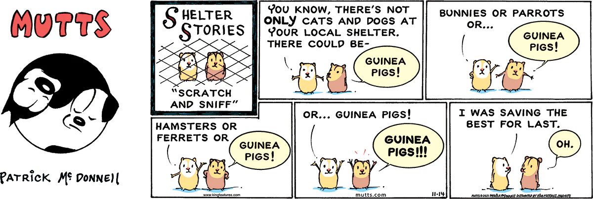 November 14 2021, Sunday Comic Strip